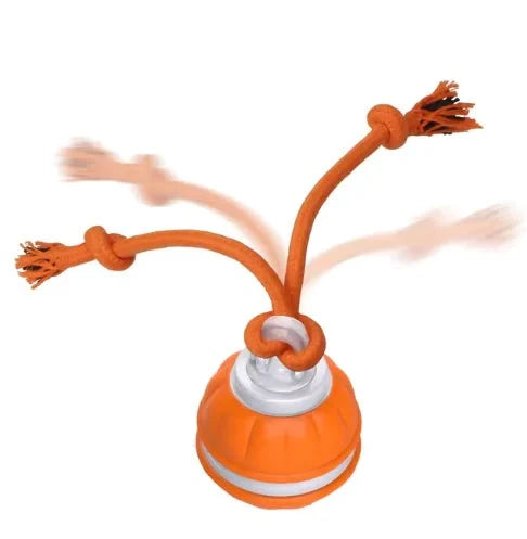 Rolling Dog Ball – Interactive Dog Toy for Active Play & Smart Training