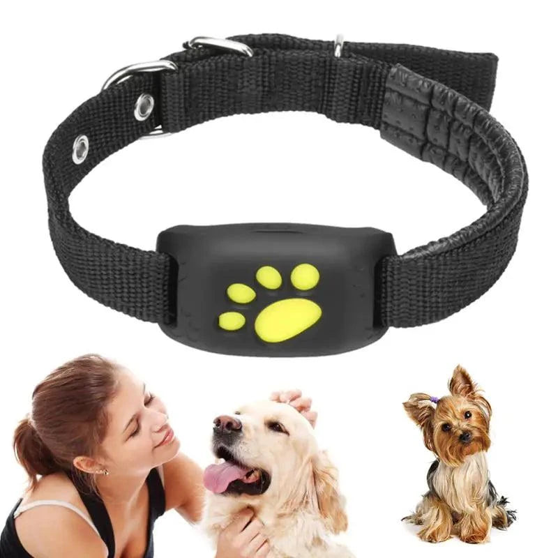 Pet GPS Tracker Collar - Real-Time Location Tracking for Dogs & Cats