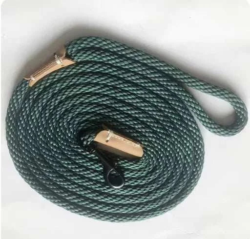 Adjustable Lead Leash - Durable Dog Leash for Training & Daily Walks