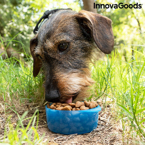 2-in-1 bottle with water and food containers for pets