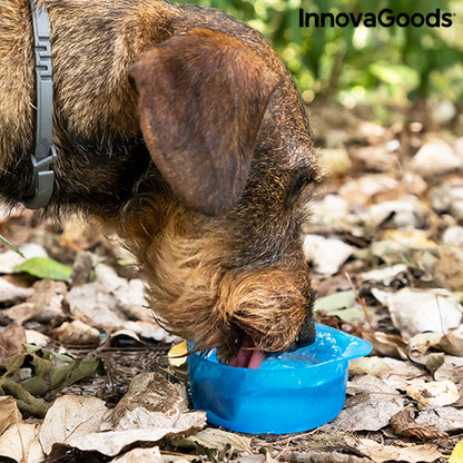 2-in-1 bottle with water and food containers for pets