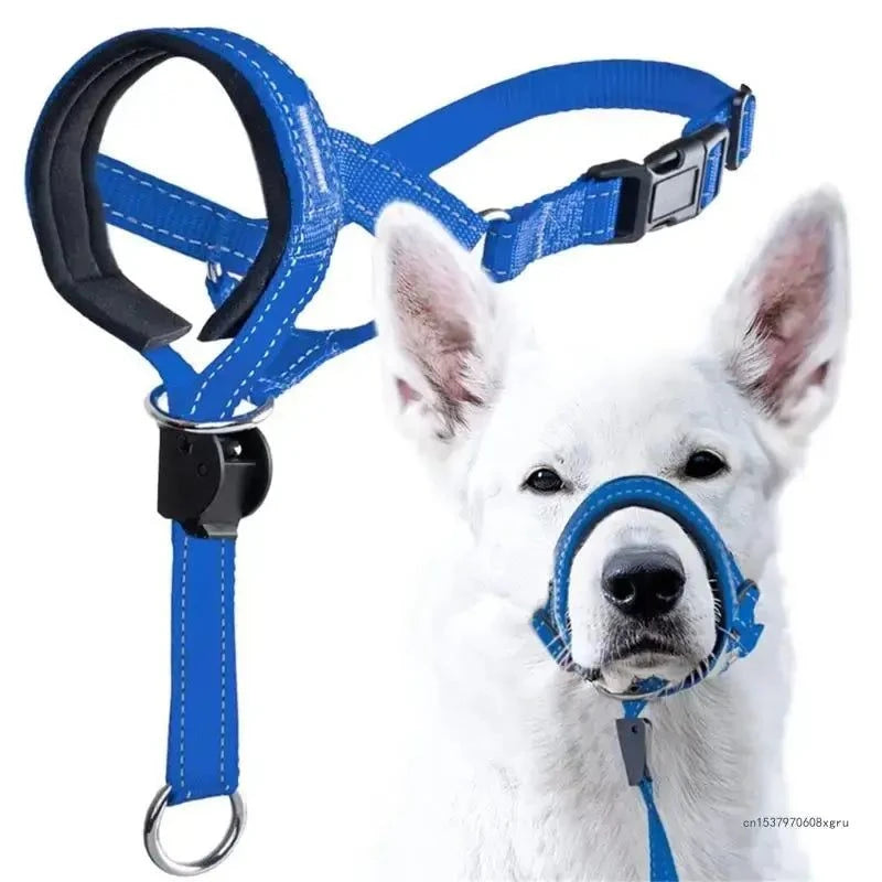 Training Collar - Adjustable Dog Collar for Safe & Effective Control