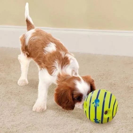 Wobble Wag Dog Toy – Interactive, Fun & Engaging Playtime for Pets