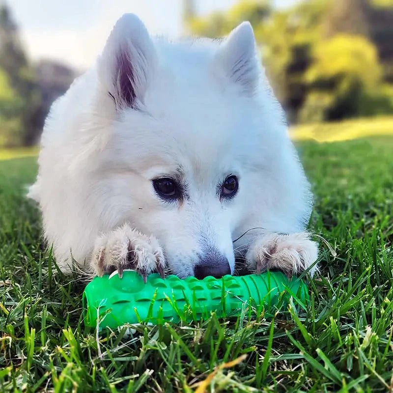 Croc Dental Chew – Tasty Dog Chew for Oral Health & Strong Teeth