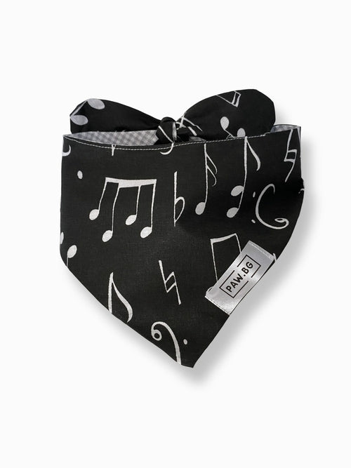 Dog Bandana (Music)