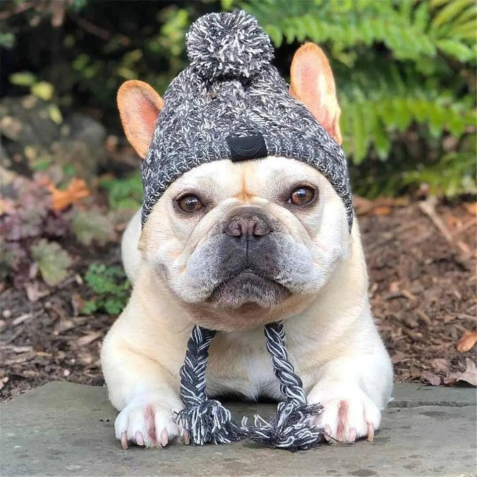 Canine Cap Companion - Adjustable Dog Hat for Sun Protection & Comfort