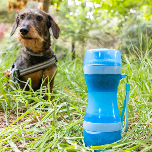 2-in-1 bottle with water and food containers for pets