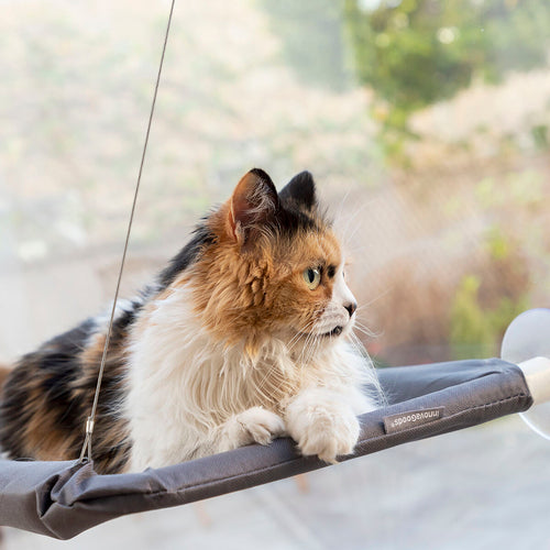 Hanging Cat Hammock