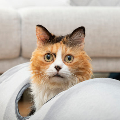 Collapsible Pet Tunnel
