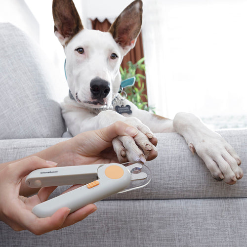 Pet Nail Clippers with LED