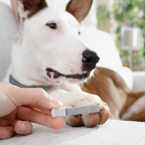 Pet Nail Clippers with LED
