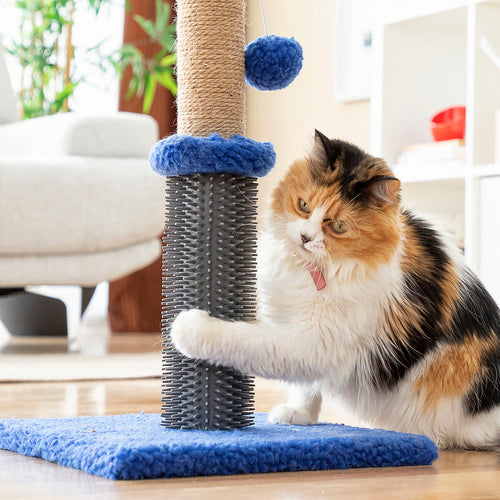Cat Scratching and Massage Post with Ball