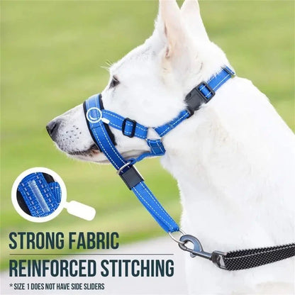 Training Collar - Adjustable Dog Collar for Safe & Effective Control