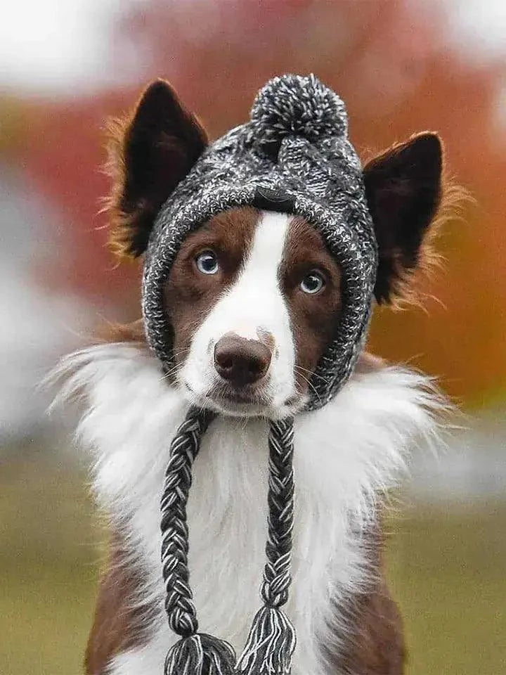 Canine Cap Companion - Adjustable Dog Hat for Sun Protection & Comfort