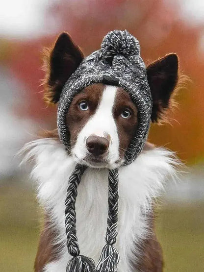 Canine Cap Companion - Adjustable Dog Hat for Sun Protection & Comfort