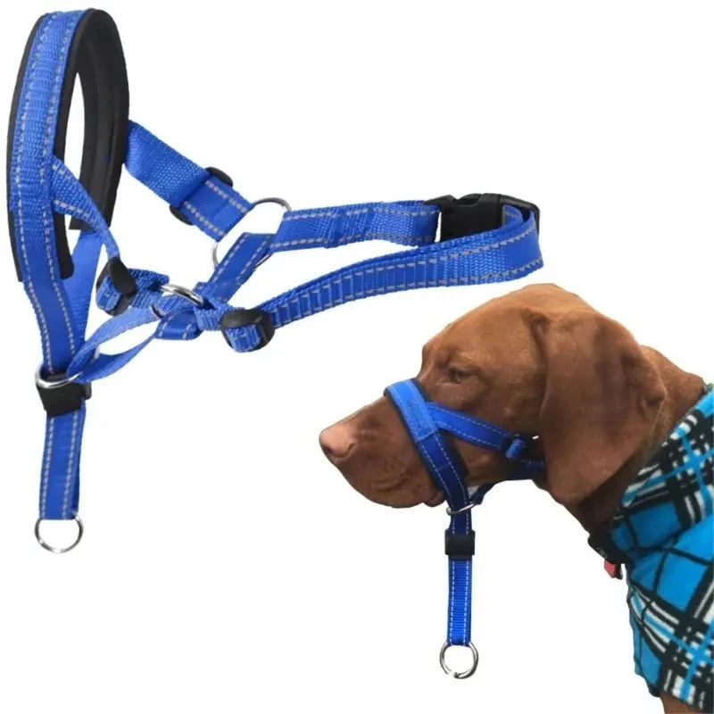 Training Collar - Adjustable Dog Collar for Safe & Effective Control